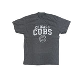 Vintage Y2K Chicago Cubs Heather Gray T-Shirt Size Large by Soft As A Grape