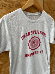 Vintage 90s Transylvania University T-Shirt - Gray - Size Small