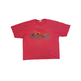 Vintage Anvil XL Pink Floral Dragonfly Graphic Cropped T-Shirt Retro