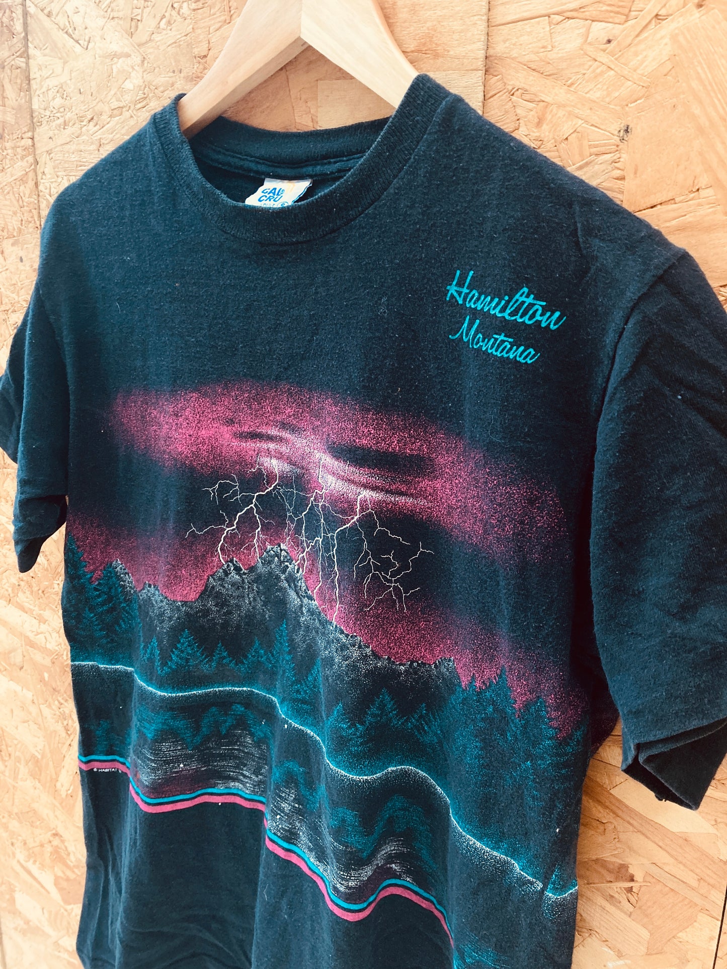 Vintage 90s Hamilton Montana nature scene black single stitch t-shirt size small