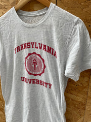 Vintage 90s Transylvania University T-Shirt - Gray - Size Small