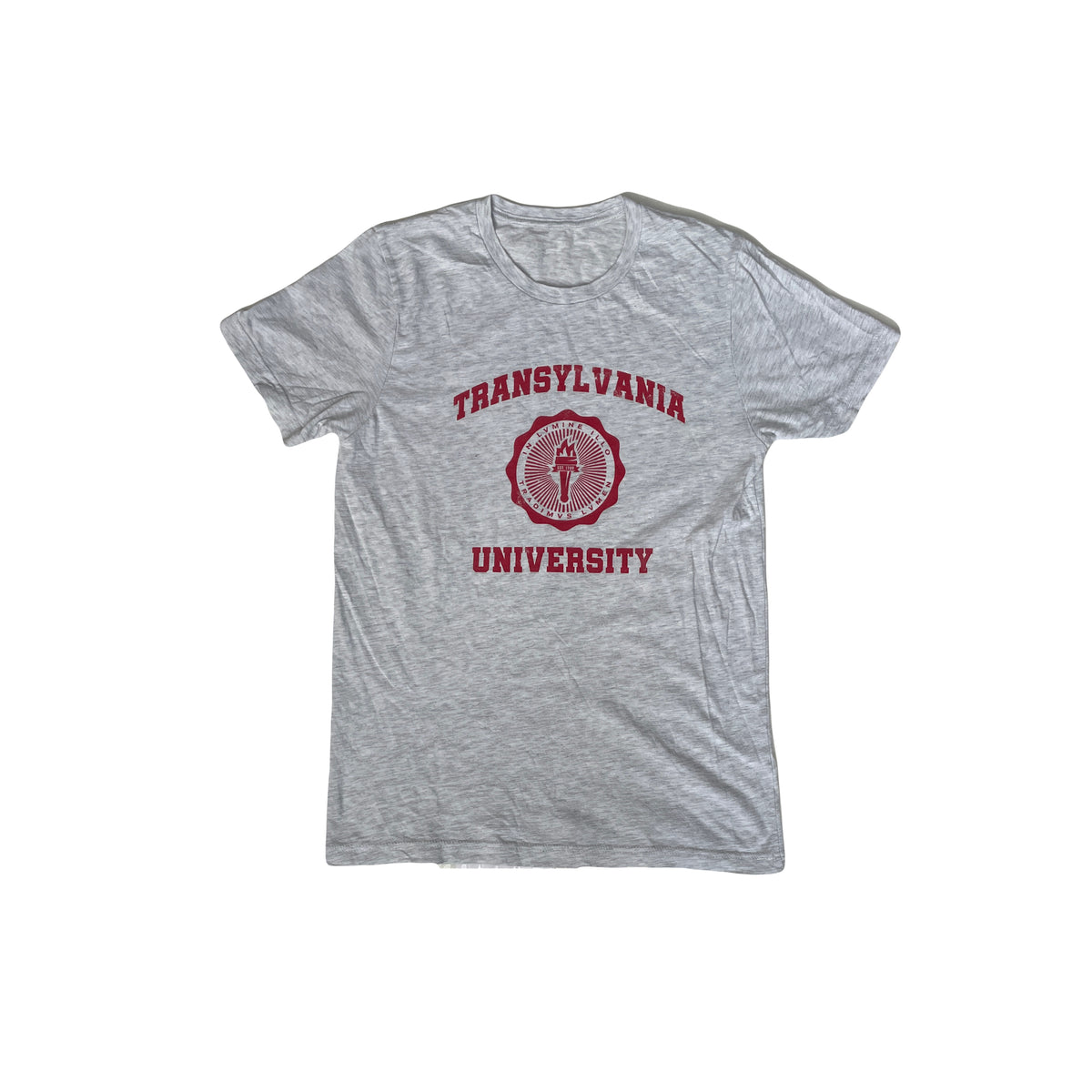 Vintage 90s Transylvania University T-Shirt - Gray - Size Small