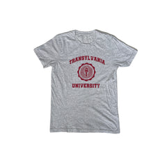 Vintage 90s Transylvania University T-Shirt - Gray - Size Small