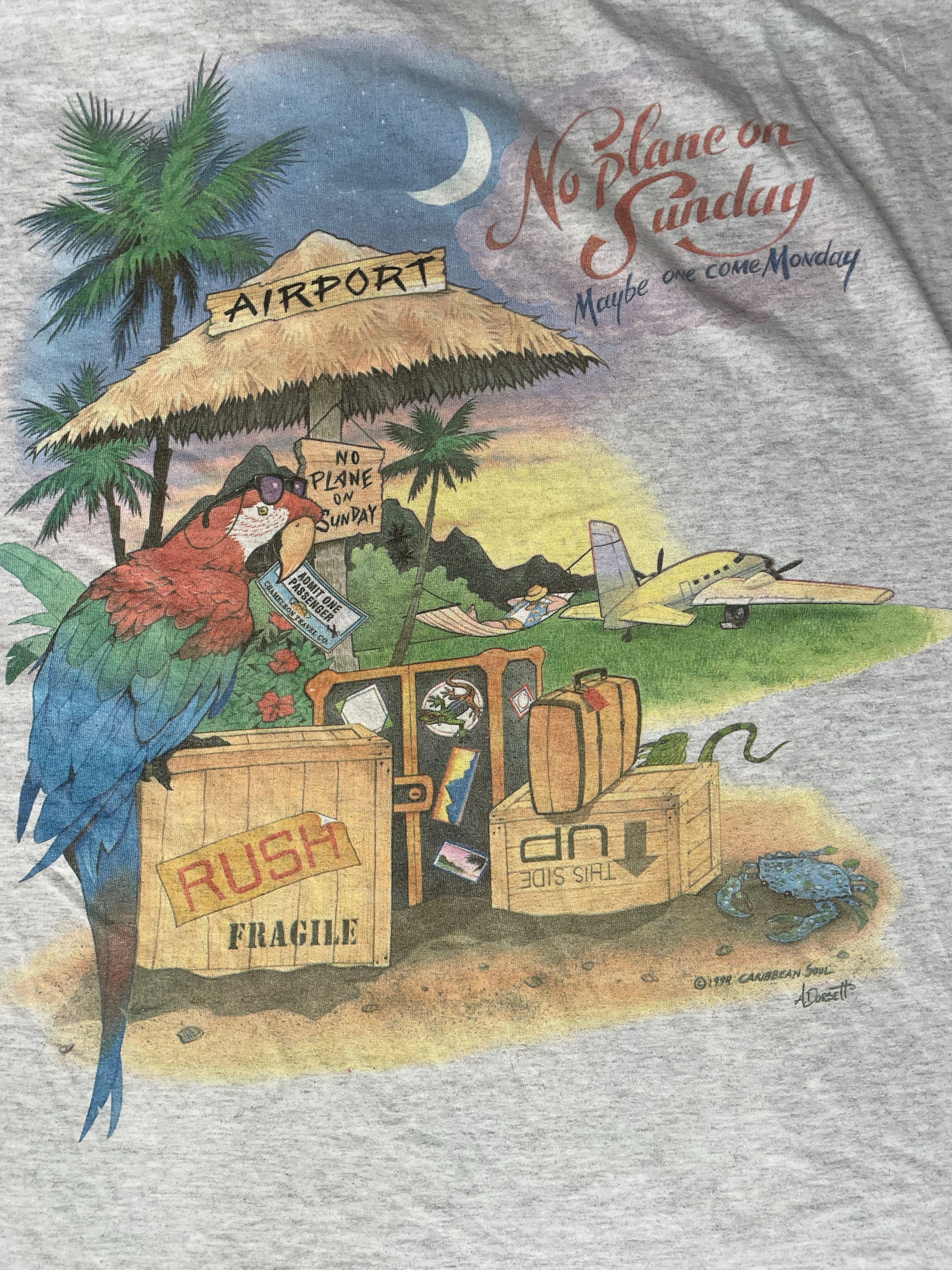 Vintage 90s Single Stitch No Plane on Sunday XXL Gray T-Shirt