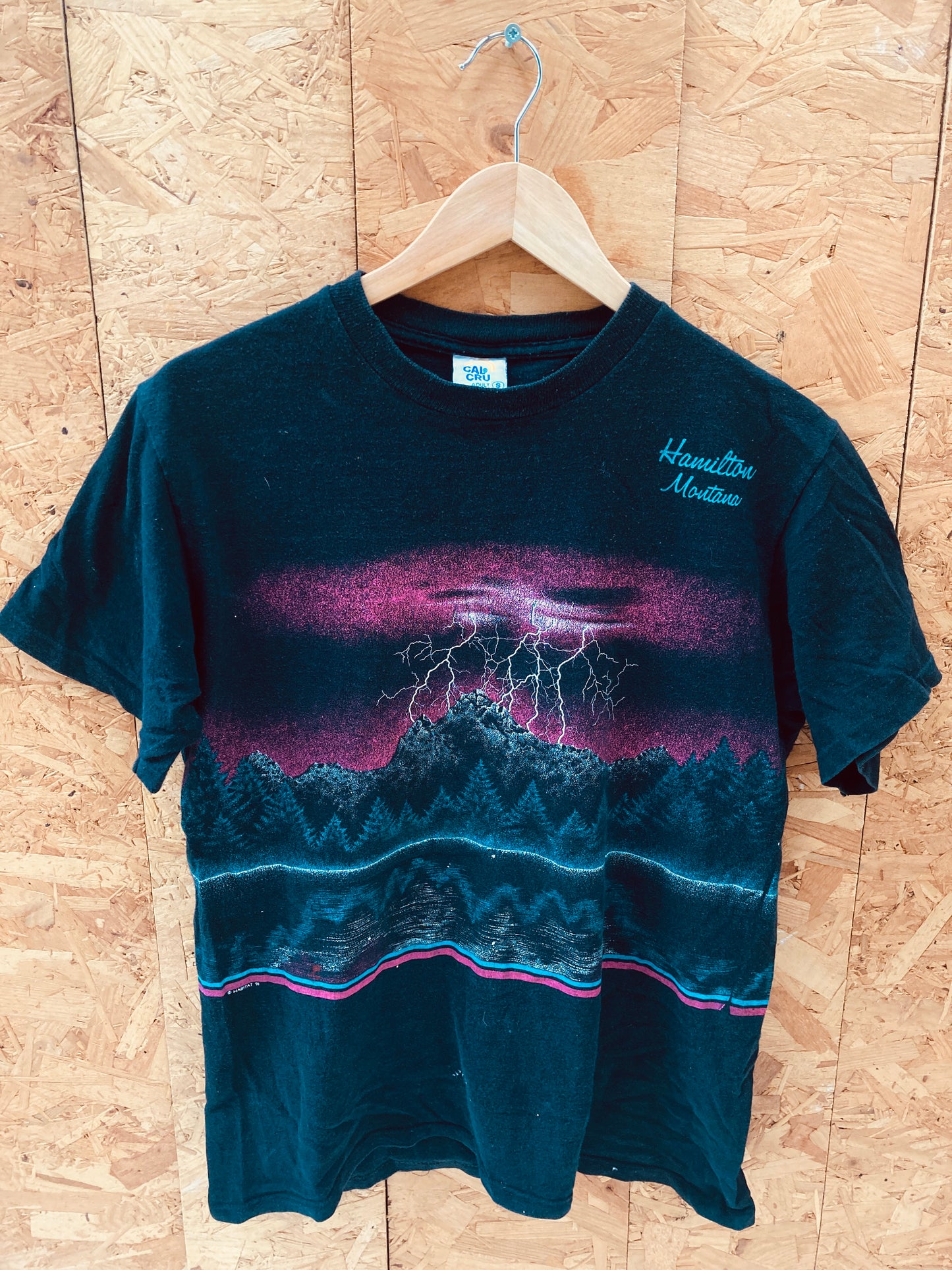 Vintage 90s Hamilton Montana nature scene black single stitch t-shirt size small