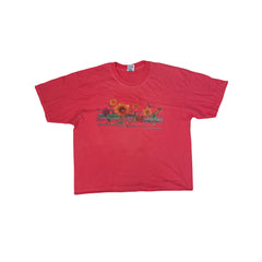 Vintage Anvil XL Pink Floral Dragonfly Graphic Cropped T-Shirt Retro