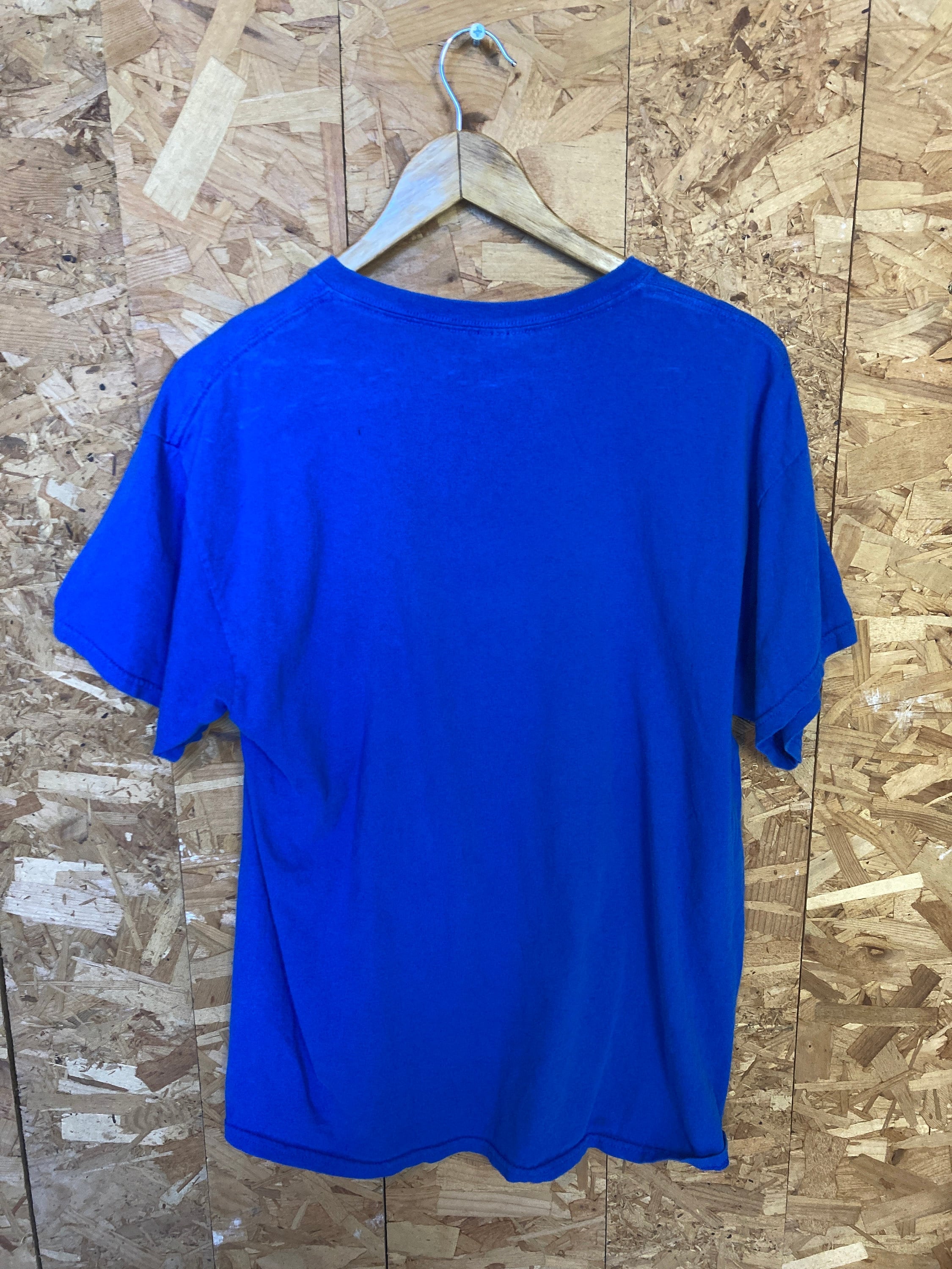 Vintage Y2K blue Horizon Huskies dog print t-shirt size large