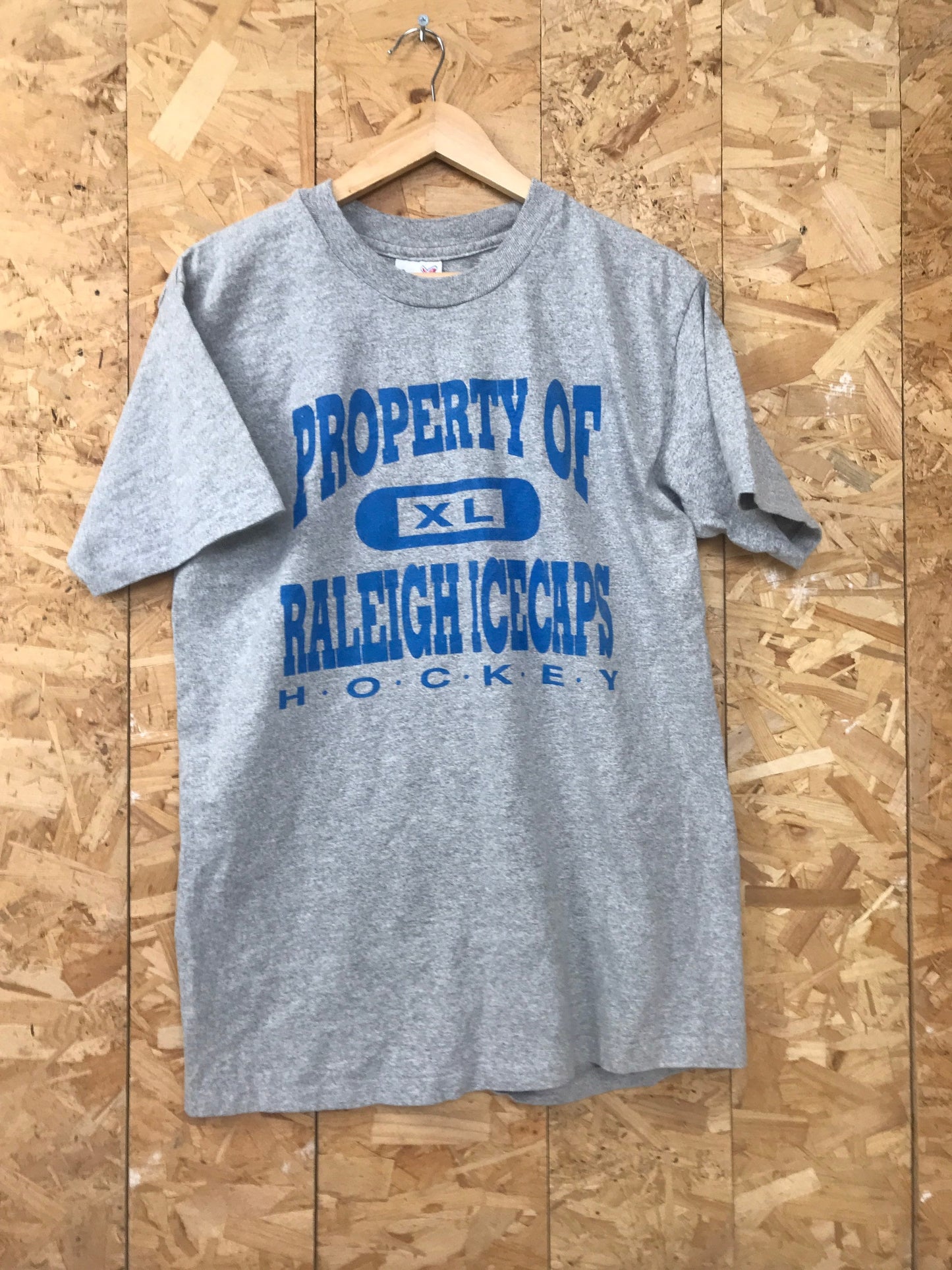 Rare vintage team signed Raleigh Ice Caps t-shirt circa 94 ECHL NHL USA Ice Hockey history memorabilia grey