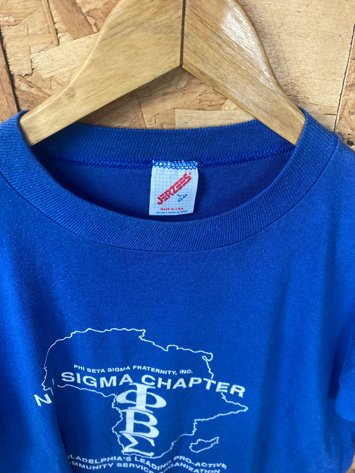 Vintage 90s Nu Sigma Chapter Philadelphia USA souvenir blue t-shirt size large