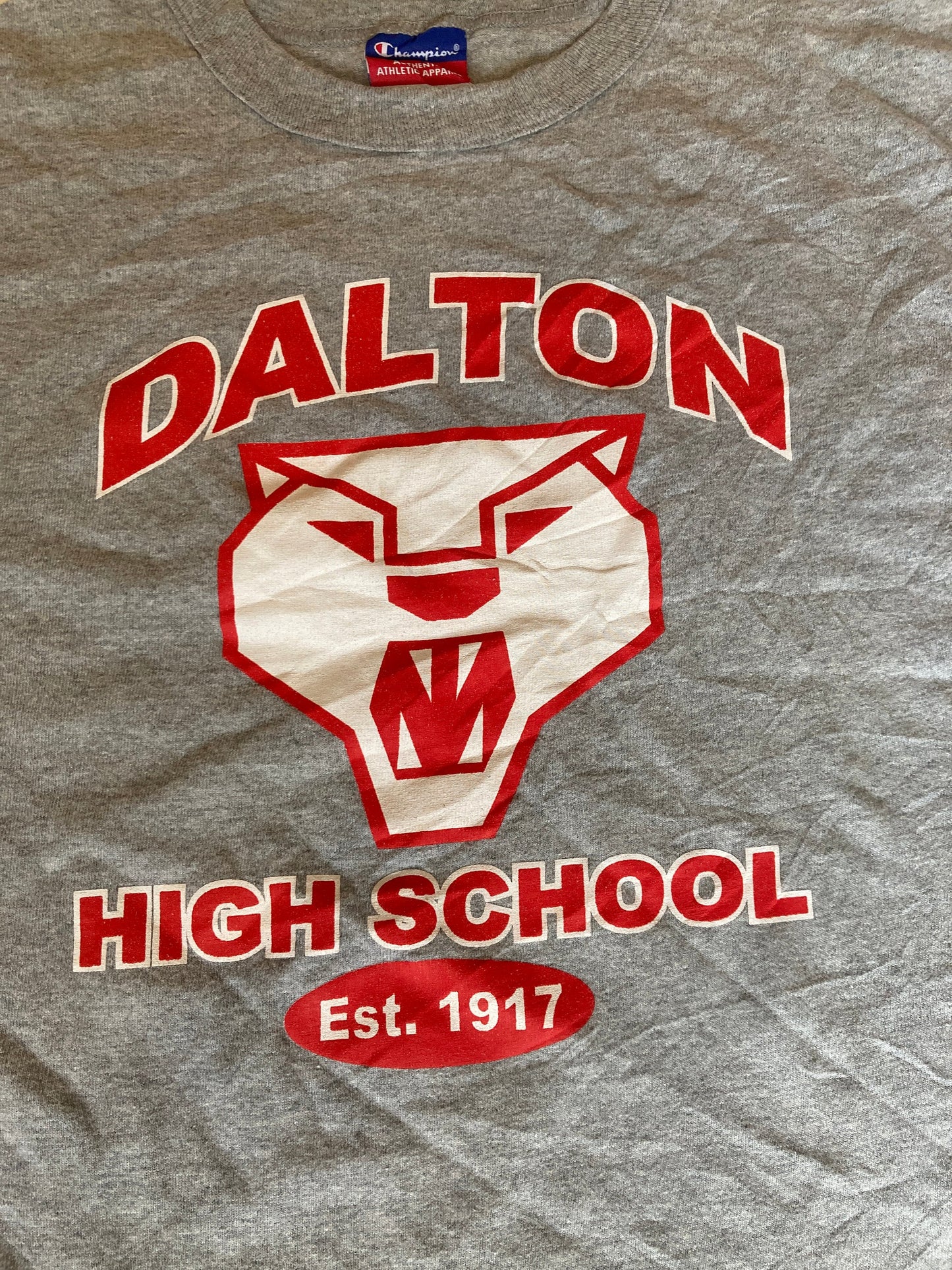 Vintage 90s Dalton High School Athletics USA souvenir grey marl oversized  t-shirt size XL by Champion