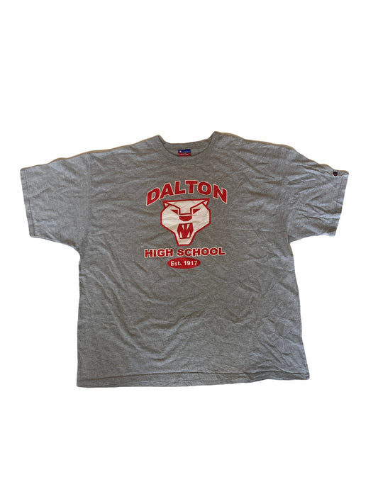 Vintage 90s Dalton High School Athletics USA souvenir grey marl oversized  t-shirt size XL by Champion