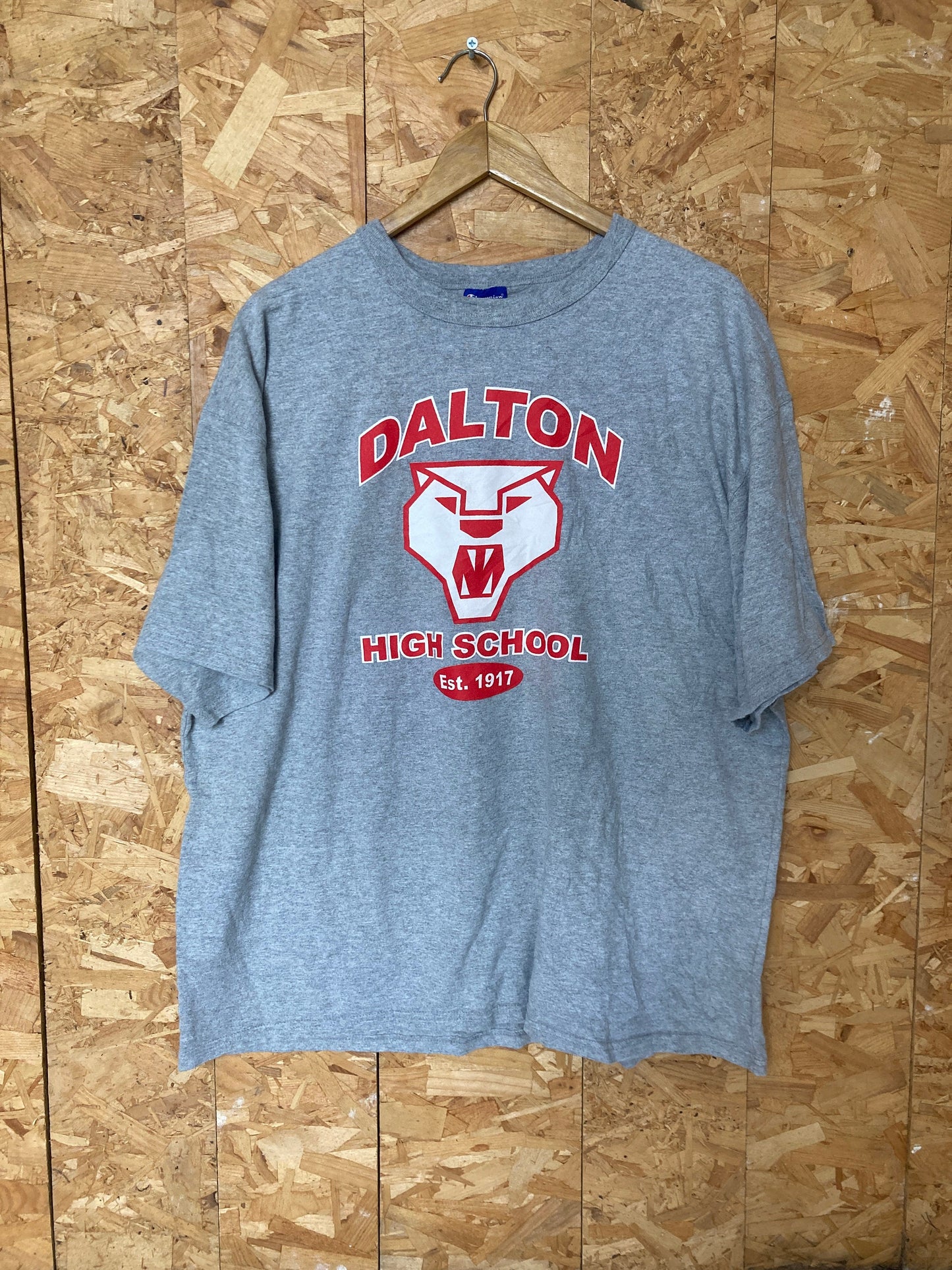 Vintage 90s Dalton High School Athletics USA souvenir grey marl oversized  t-shirt size XL by Champion