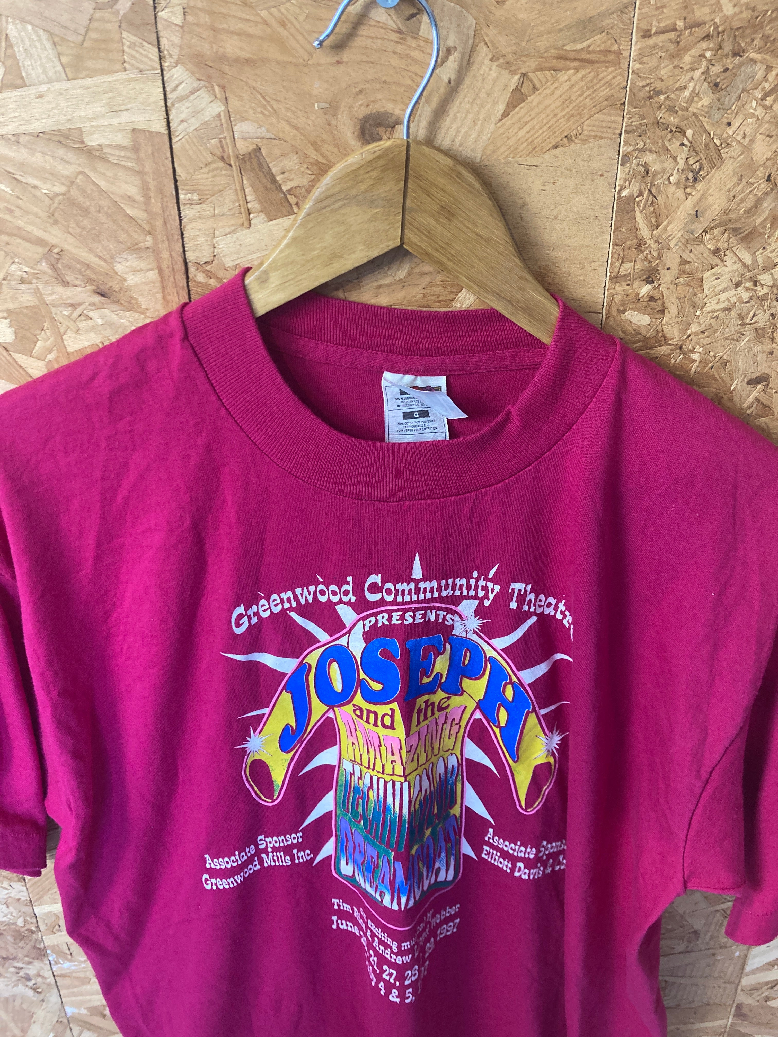 Vintage 90s Joseph & amazing Technicolor dreamcoat souvenir t-shirt size large